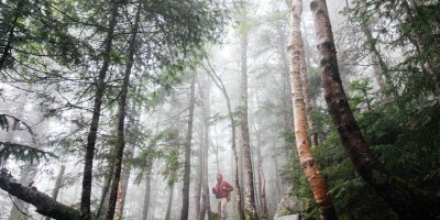 「Chat人工智能免费入口大全：中文版推荐」