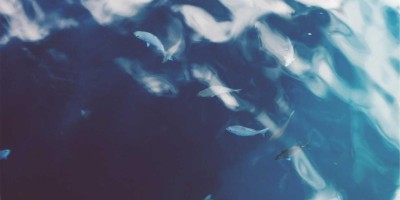 chat人工智能免费入口：便捷互动的完美选择