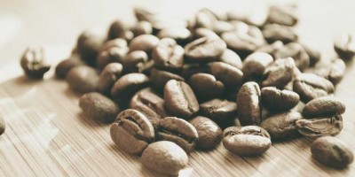 “chat人工智能：免费入口精选推荐”