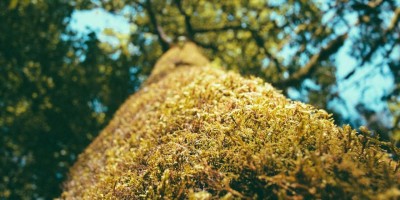 chat人工智能免费入口：全方位介绍与应用指南