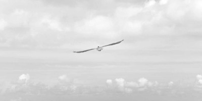 探索全面的chat人工智能免费入口