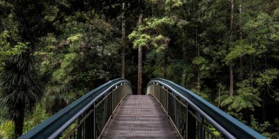 “选择最适合你的chat人工智能免费入口”