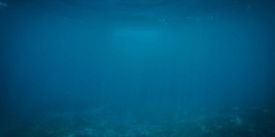 Chat人工智能免费入口：在线使用方法大全