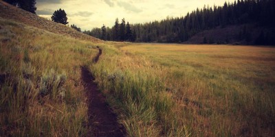 优选免费chat人工智能入口推荐