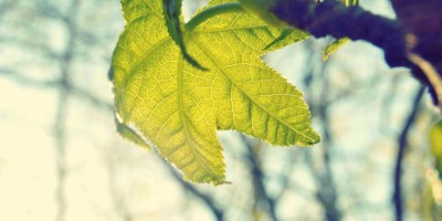 “解锁Chat人工智能免费入口：全面介绍与推荐”