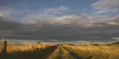 人工智能免费入口大全：在线体验中文版推荐