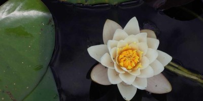 “Chat人工智能免费入口大全与推荐汇总”