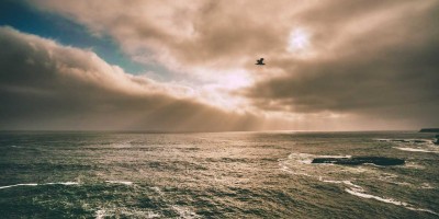 挑选 chat 人工智能免费入口指南