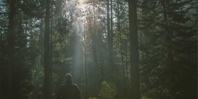 “全面介绍和推荐免费中文chat人工智能入口”