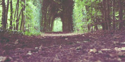 探秘chat人工智能免费网页版