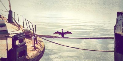 Chat人工智能免费入口全面推荐指南