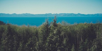 **人工智能论文查重率探析**