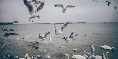 Chat人工智能免费入口大全：在线交流全方位指南