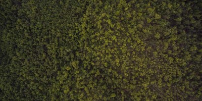 “Chat人工智能：免费入口全攻略与推荐”