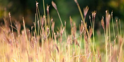 “解锁人工智能聊天机器人免费入口”