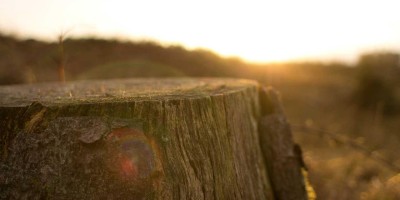 “Chat人工智能免费入口指南：推荐及操作详解”