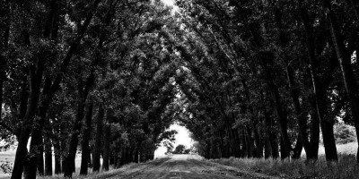 “畅享互动智能体验：chat人工智能免费入口详解”。