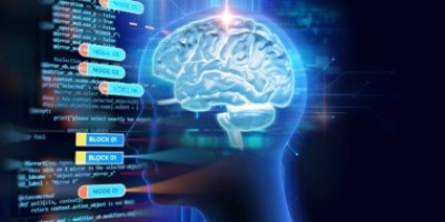 如何搭建一个高效赚钱的网站，让你的在线业务倍增收入！