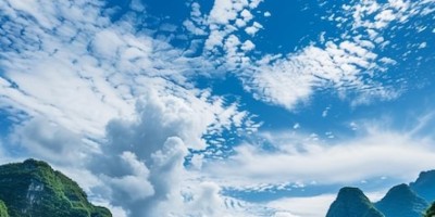 The Future of Robotics: Exploring the World of Robot Dogs and Their Impact on Society