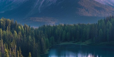 Here’s an English title based on the keywords you selected:

Understanding the Plagiarism Rate of AI-Generated Papers: What Researchers Need to Know