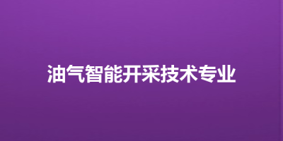 油气智能开采技术专业