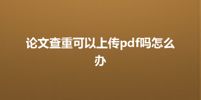 论文查重可以上传pdf吗怎么办