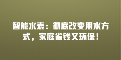 智能水表：彻底改变用水方式，家庭省钱又环保！