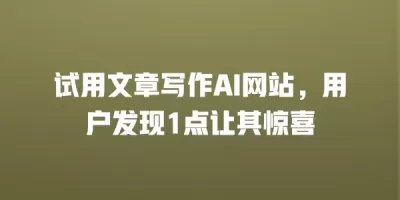 试用文章写作AI网站，用户发现1点让其惊喜