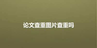 论文查重图片查重吗