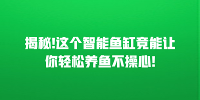 揭秘!这个智能鱼缸竟能让你轻松养鱼不操心!