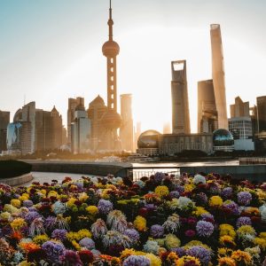 “人工智能的未来前景展望”