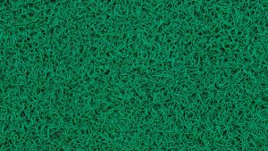 “AI写作：探索人机共创的新境界”