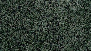 AI写作软件大比拼：AI写作猫 VS AI写作讯飞