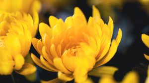 “AI人工智能：现状与未来展望”