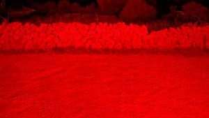 “人工智能：前景与挑战”