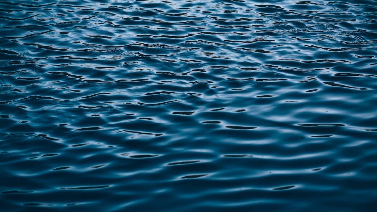 人工智能：未来发展前景与应用现状