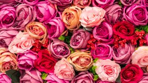 未来无限可能：AI人工智能的探索与挑战