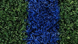 AI论文写作的未来发展：挑战与机遇