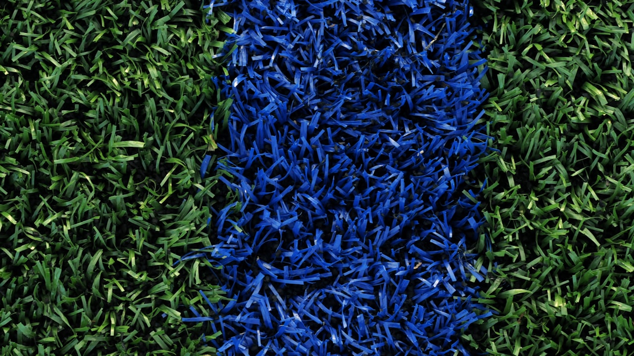 AI 论文写作的未来发展：挑战与机遇