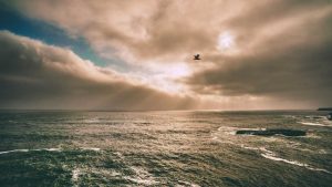 “人工智能助力论文写作：创新与便捷”