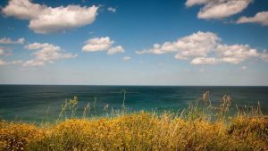 “快速上手chat人工智能免费入口中文版”