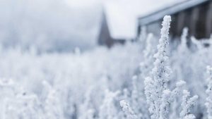 “Chat人工智能免费入口：畅享智能交流新体验”