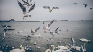 AI写作：探索论文撰写的智能未来