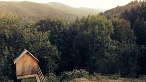 “探索AI的未来：发展现状与前景展望”