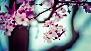 “Chat3.5免费版登录入口全指南：解决你的所有疑问”