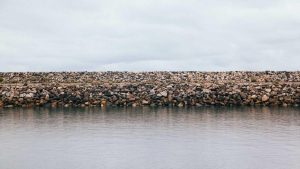 “AI崛起：人工智能的现状与前景”