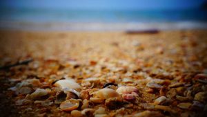 **Chat3.5免费版登录指南：快速便捷入口大全**