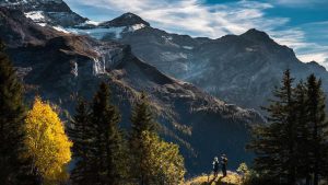 Chat人工智能免费入口全攻略