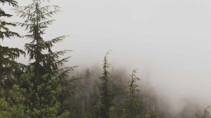 “Chat3.5免费版登录入口攻略大全”