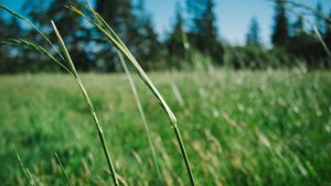 Chat3.5免费版登录入口汇总攻略